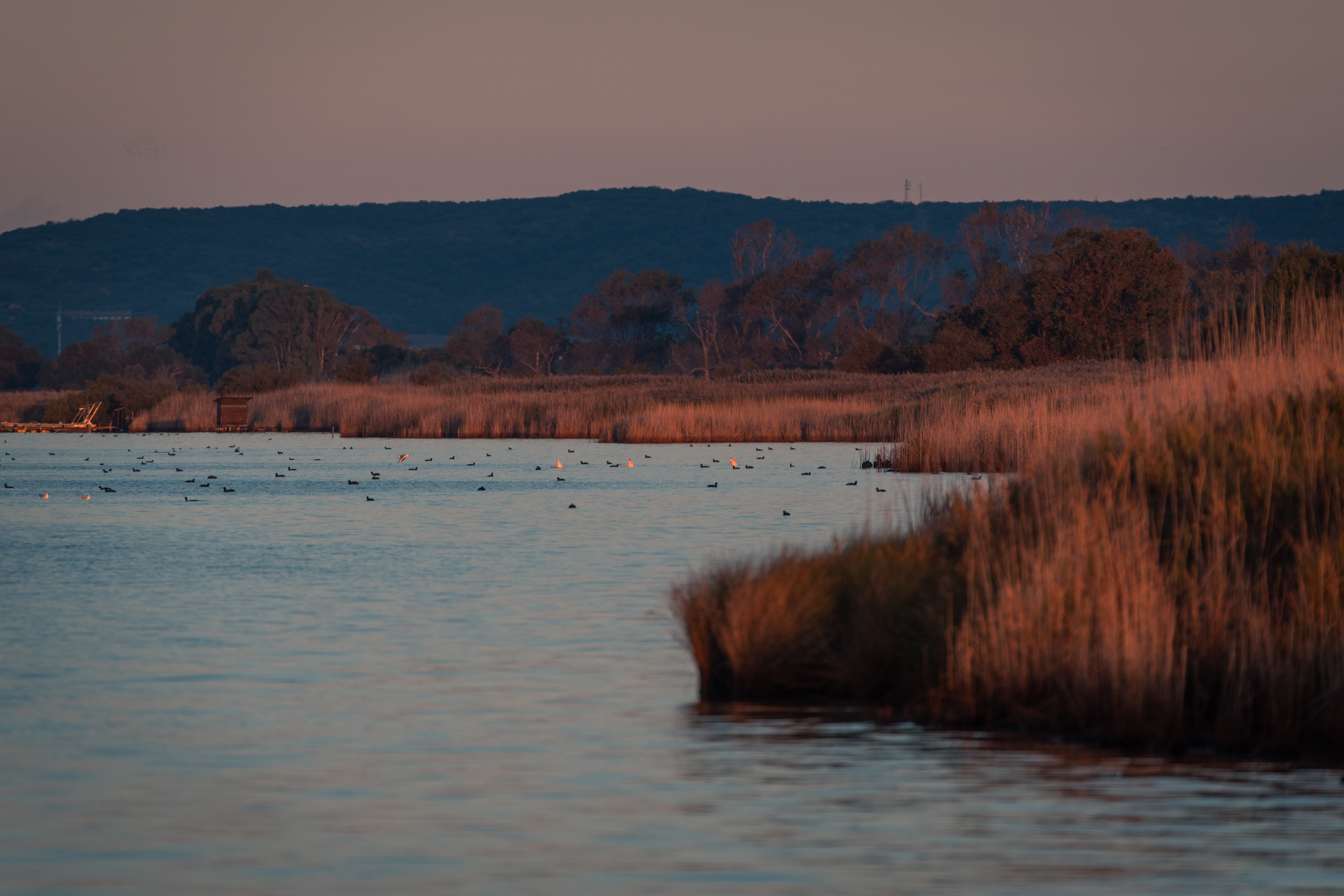 Oasi wwf Lago di Burano