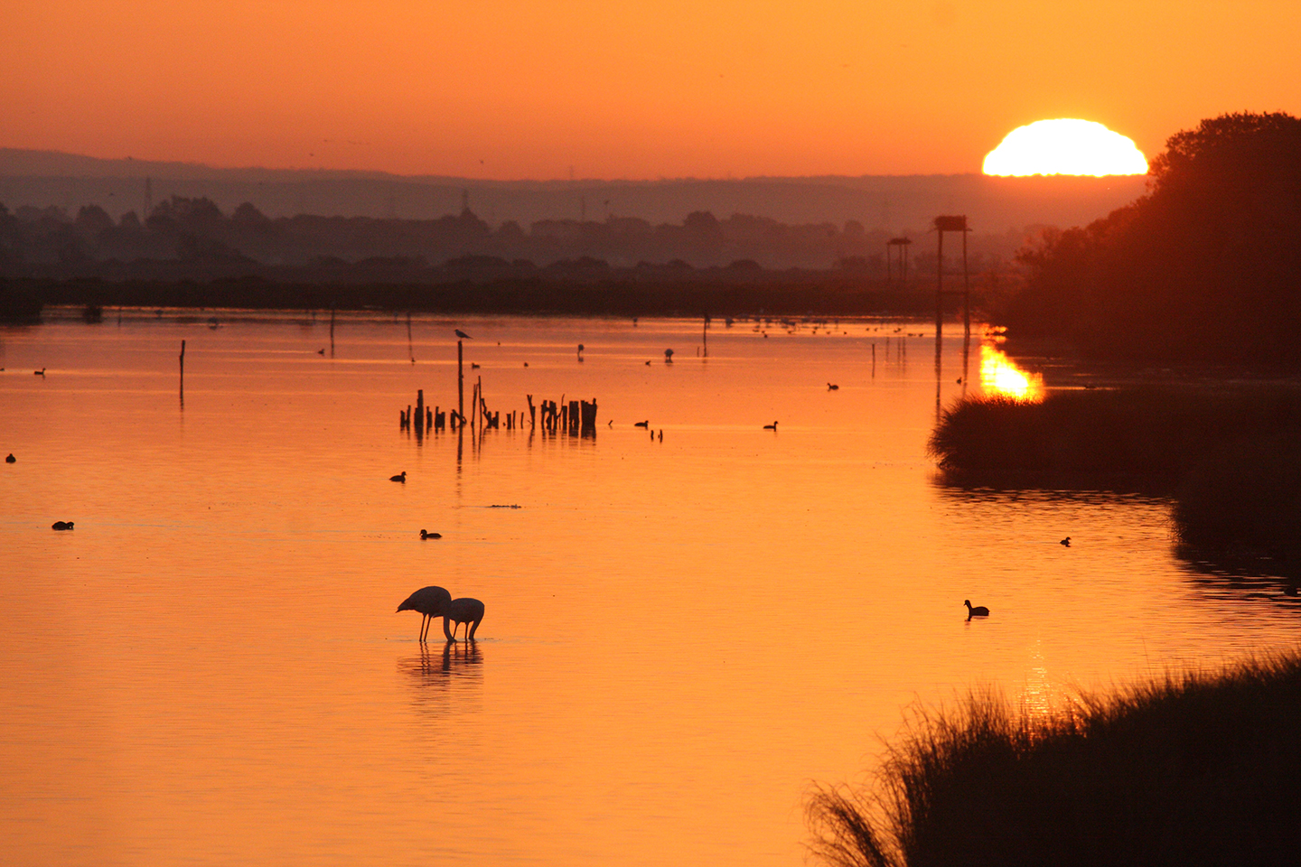 Oasi wwf Lago di Burano